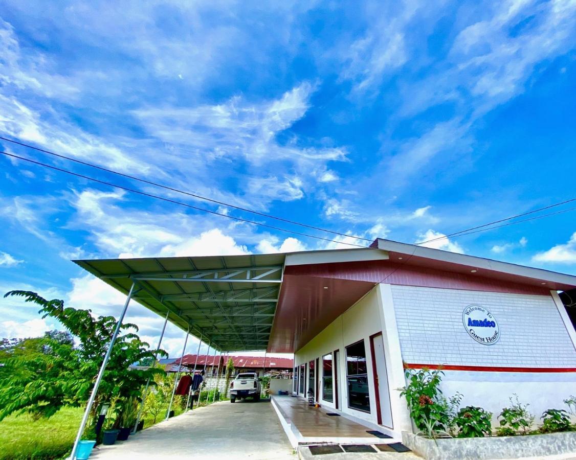 Amadeo Guest House Ratodena ภายนอก รูปภาพ