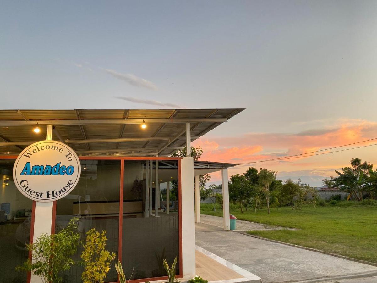 Amadeo Guest House Ratodena ภายนอก รูปภาพ